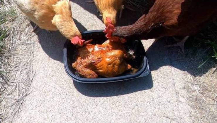 Where’s Your Dirty Mind?