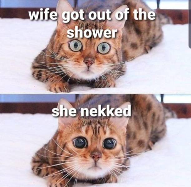 Where’s Your Dirty Mind?