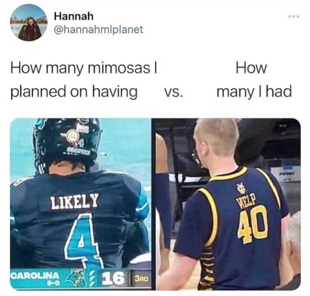 Absolutely Wasted…