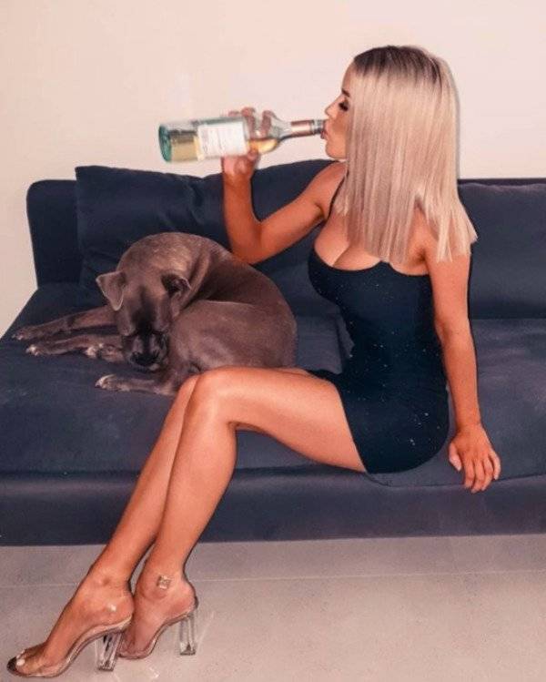 Absolutely Wasted…