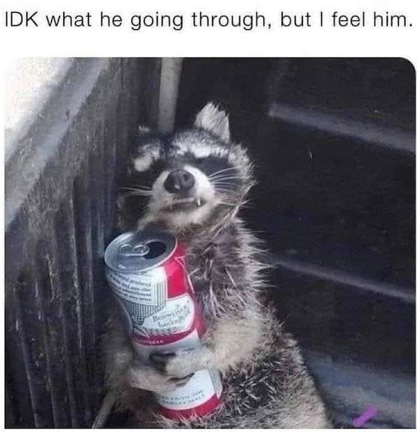 absolutely wasted 102 pics 36.html - 102 HD Photos | Premium Gallery 2021