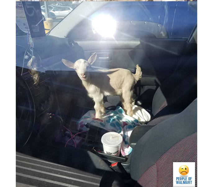 “Walmart” Has Some Very Extravagant Customers…