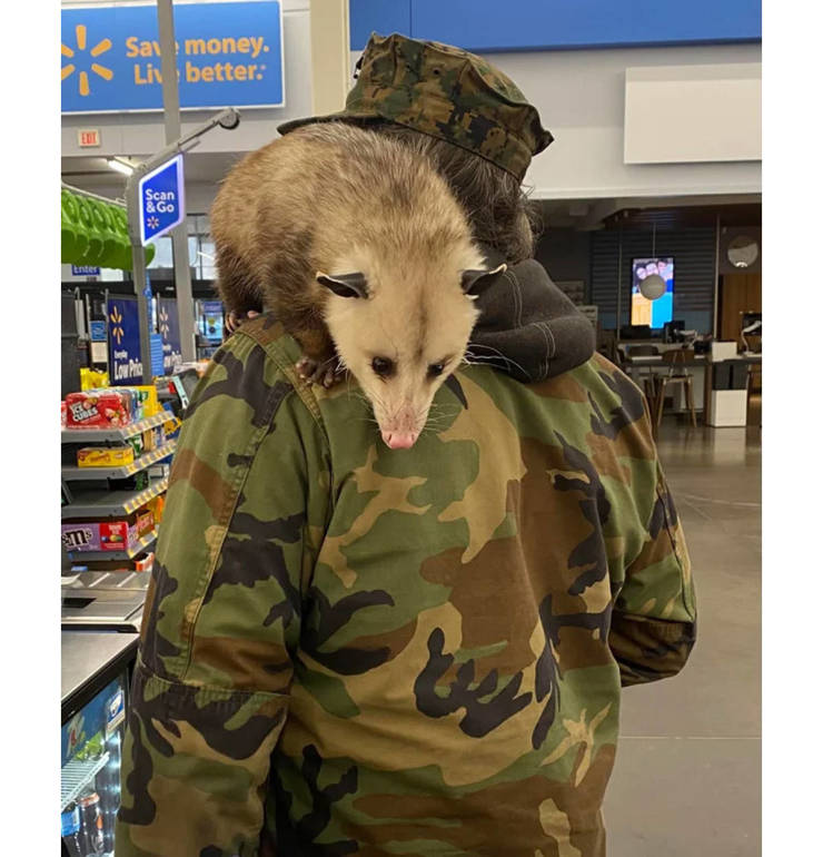 “Walmart” Has Some Very Extravagant Customers…