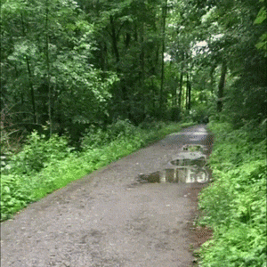 Hottie Fails Are Even More Spectacular!