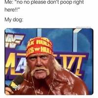 no more video.html - 1 HD Video | Premium Gallery 2022