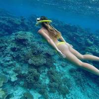 so bouncy video.html - 1 HD Video | Premium Gallery 2022