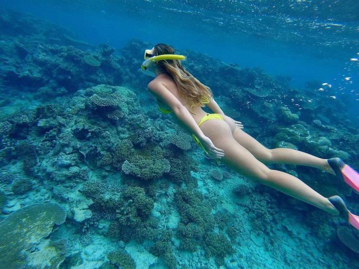 grownup corner 56 pics 14.html - 56 HD Photos | Premium Gallery 2021