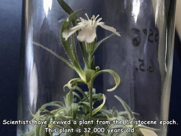 That’s Really Impressive!