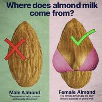 hot girls with beautiful long legs 53 pics.html - 53 HD Photos | Premium Gallery 2020