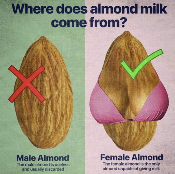 Dirty Mind, Come Here!