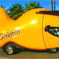 these corsets are pretty tight 48 pics.html - 48 HD Photos | Premium Gallery 2021