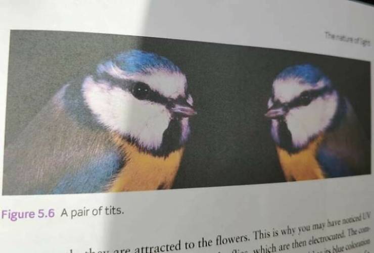 These Jokes Were 100% Intentional…