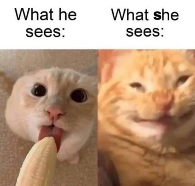 How Dirty Is Your Mind?