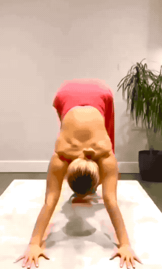 get fit with these fitness girls 20 gifs 6.html - 1 HD GIF | Premium Gallery 2021