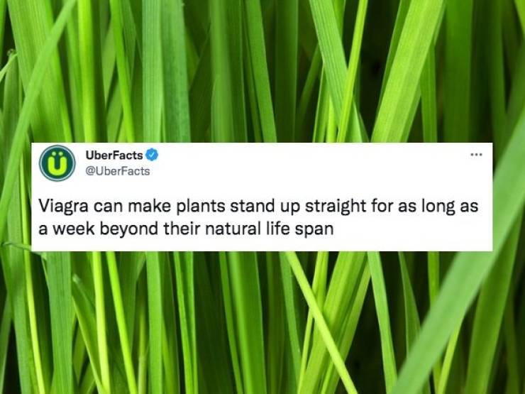 These Facts Are Insane