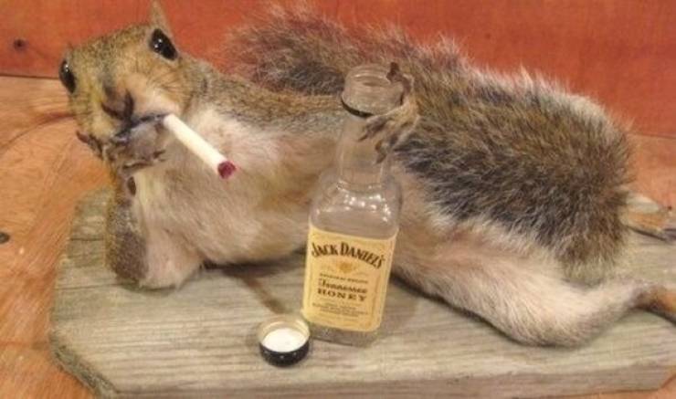 Zero Waste? 100% Wasted!