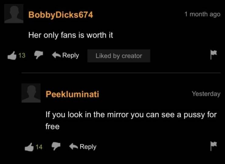 “Pornhub” Comment Section… Just Why?!
