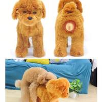 do you still believe these porn myths 10 gifs.html - 1 HD GIF | Premium Gallery 2022