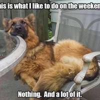 girls with abs hot or not 45 pics.html - 45 HD Photos | Premium Gallery 2012