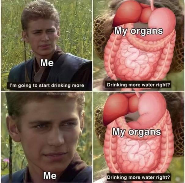 they are 100 drunk 85 pics 9.html - 85 HD Photos | Premium Gallery 2021