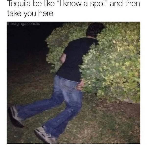 They Are 100% Drunk!