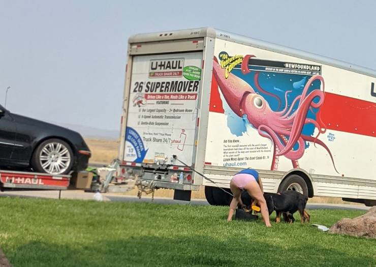 “Walmart” And Its Crazy Customers