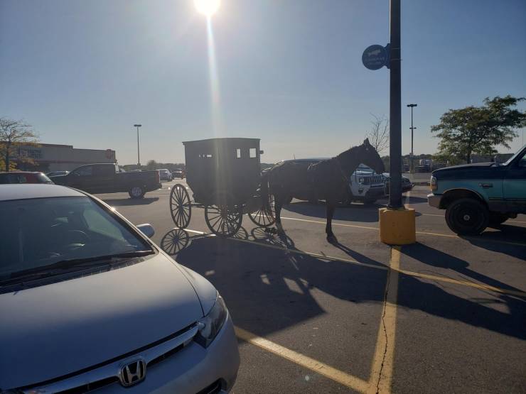 “Walmart” And Its Crazy Customers