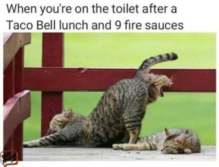 For The Dirtiest Of Minds!