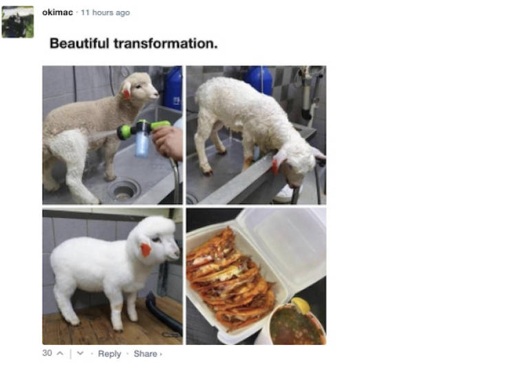 For The Dirtiest Of Minds!