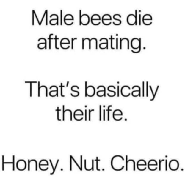 Show Your Dirty Mind!