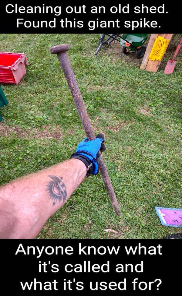 Show Your Dirty Mind!