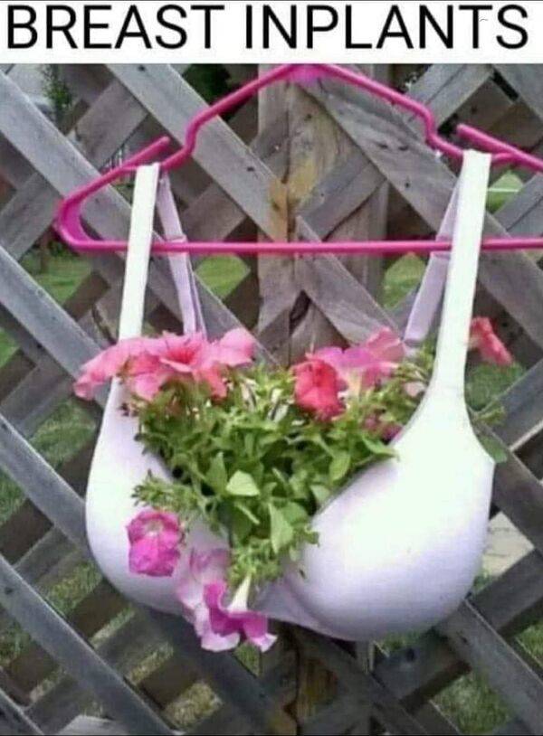 dirty minds its showtime 74 pics 1.html - 74 HD Photos | Premium Gallery 2021