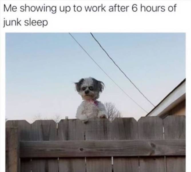 sooo drunk 70 pics 18 gifs 3.html - 70 HD GIF | Premium Gallery 2021