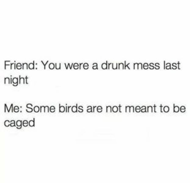 sooo drunk 70 pics 18 gifs 3.html - 70 HD GIF | Premium Gallery 2021