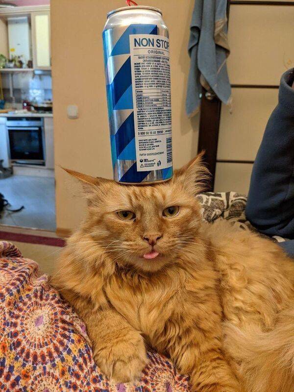 sooo drunk 70 pics 18 gifs 3.html - 70 HD GIF | Premium Gallery 2021