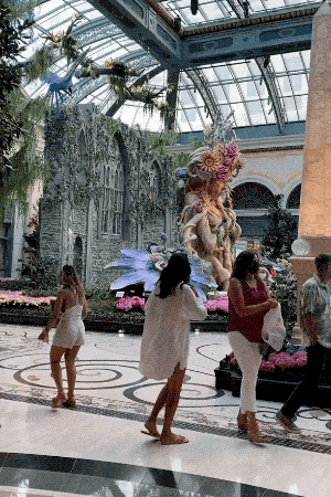 sooo drunk 70 pics 18 gifs 3.html - 70 HD GIF | Premium Gallery 2021