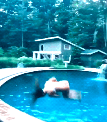 water girls looks great 33 gifs 3.html - 1 HD GIF | Premium Gallery 2021