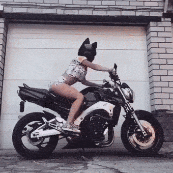 fails better hot fails 41 gifs 1.html - 1 HD GIF | Premium Gallery 2021