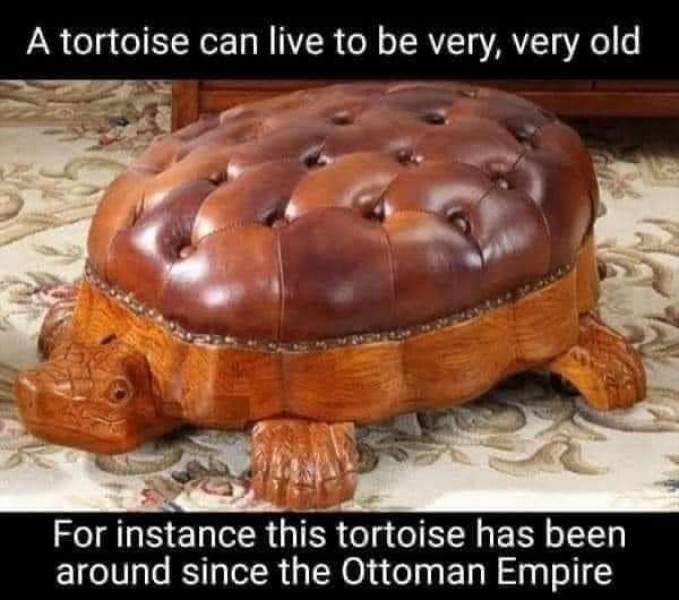 How Dirty Is Your Mind?