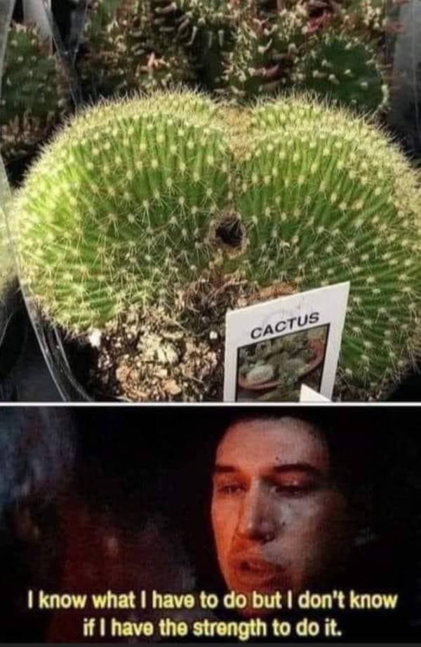 Dirty Minds, Rejoice!