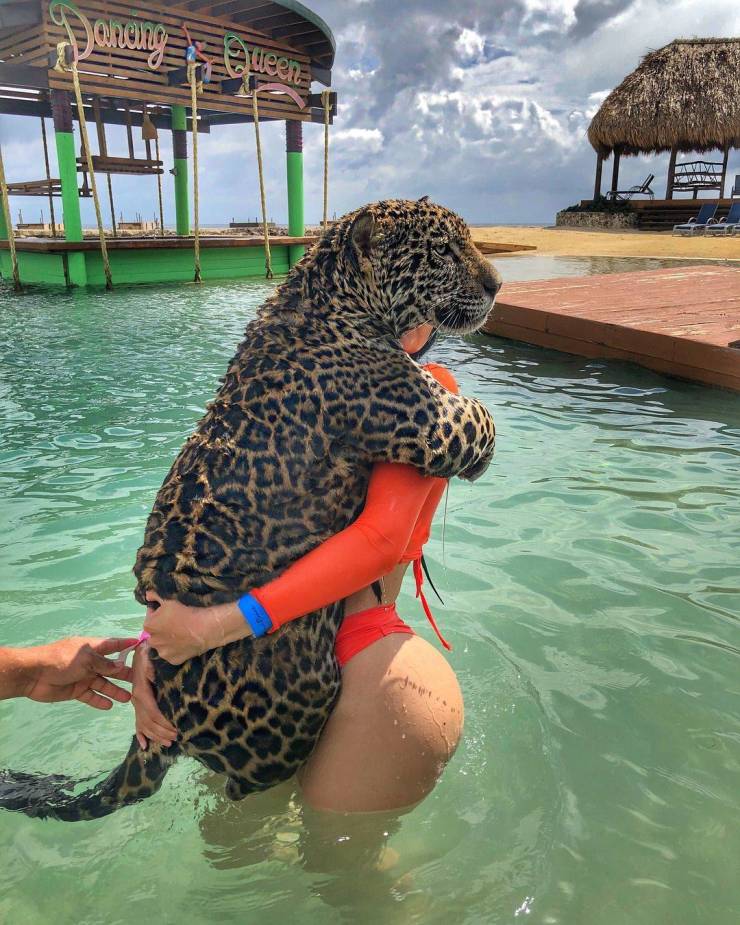 grownup corner 64 pics 15.html - 64 HD Photos | Premium Gallery 2021