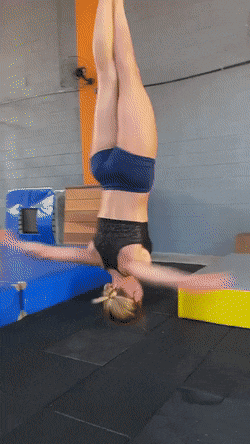 dirty minds only 42 gifs 3.html - 1 HD GIF | Premium Gallery 2021