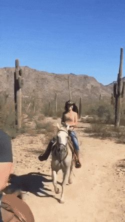 dirty minds only 42 gifs 3.html - 1 HD GIF | Premium Gallery 2021