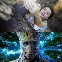 window sill dance video.html - 1 HD Video | Premium Gallery 2022