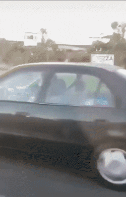 dirty minds only 42 gifs 3.html - 1 HD GIF | Premium Gallery 2021