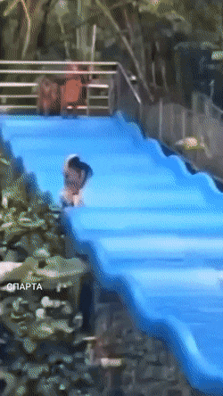 dirty minds only 42 gifs 3.html - 1 HD GIF | Premium Gallery 2021