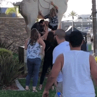 hotness doesnt save you from failures 28 gifs 4.html - 1 HD GIF | Premium Gallery 2021