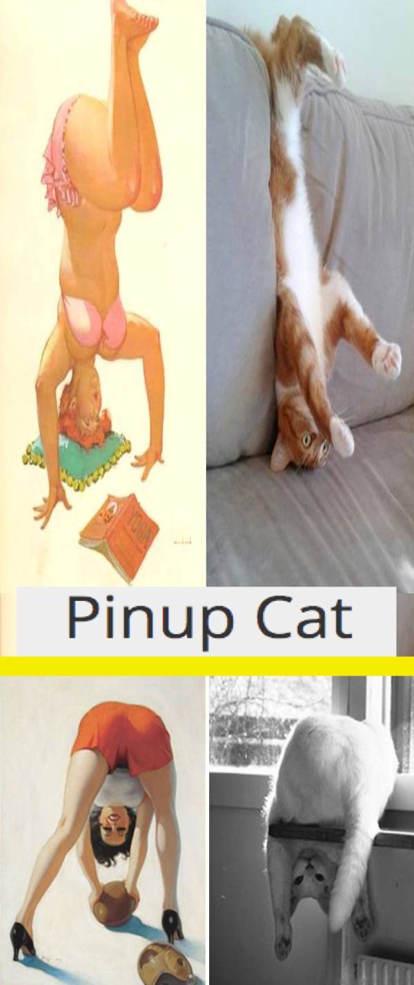 Some Dirty NSFW Memes For You!