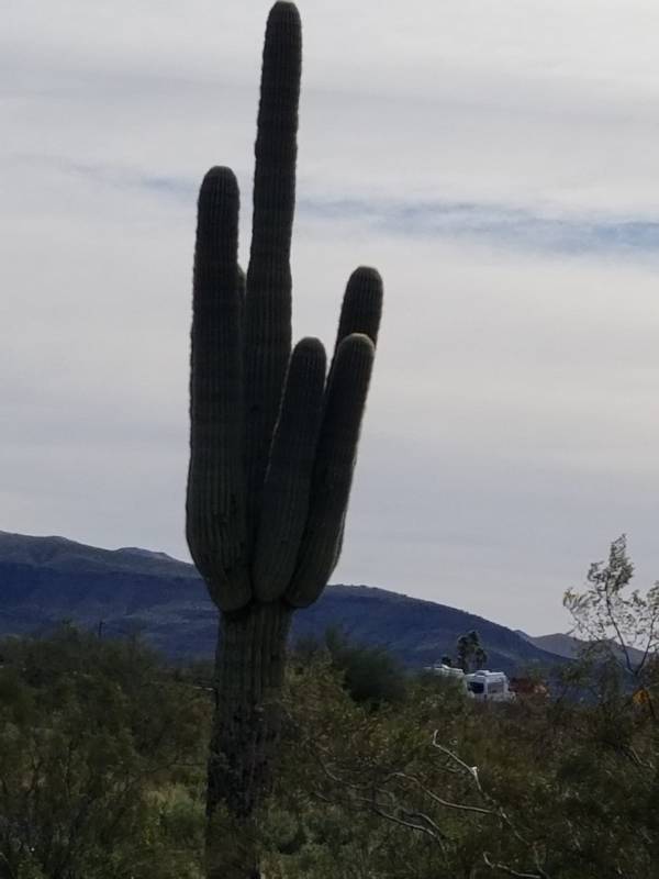 oh youre so dirty 73 pics 5.html - 73 HD Photos | Premium Gallery 2021