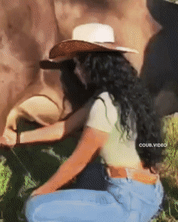 dirty minds only 32 gifs 5.html - 1 HD GIF | Premium Gallery 2021